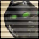 onua.png