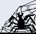 spideronweb.jpg