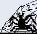 spideronweb.jpg