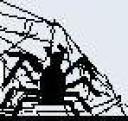 spideronwebflipped.jpg