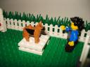dsc01149.jpg