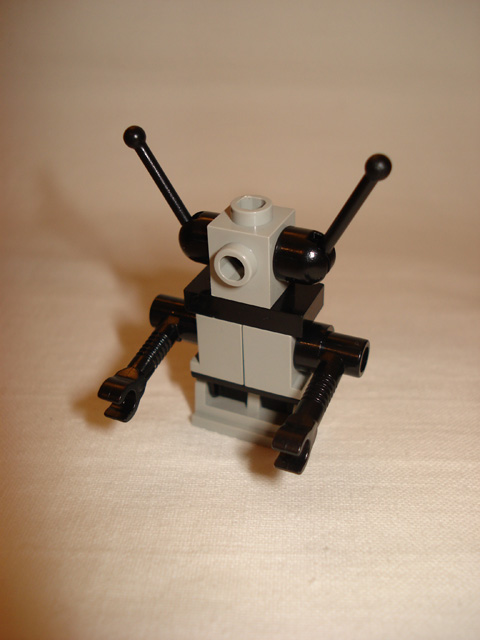 dsc00111.jpg