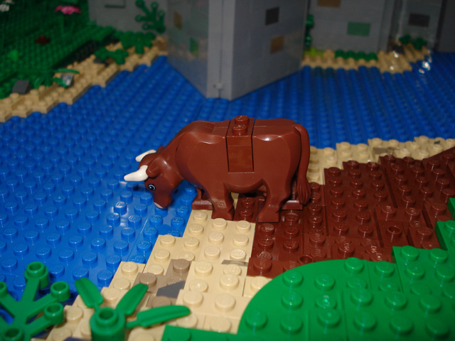 village33.jpg
