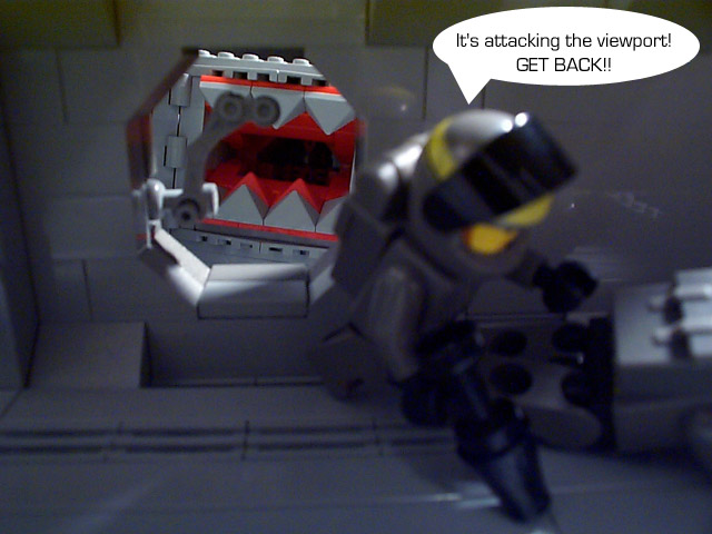 mg56.jpg