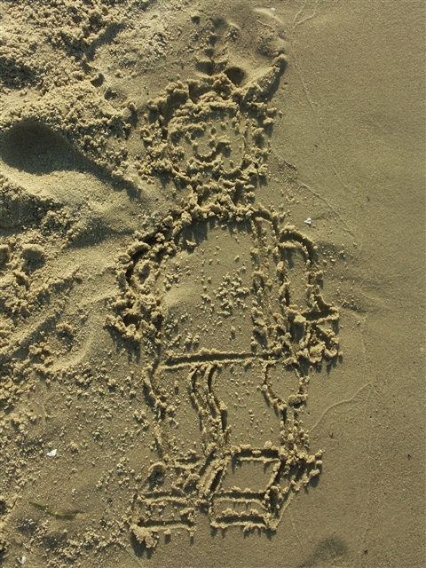 zs.jpg