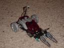 dsc03644.jpg