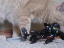 dsc04878.jpg