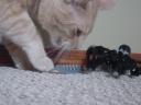 dsc04879.jpg