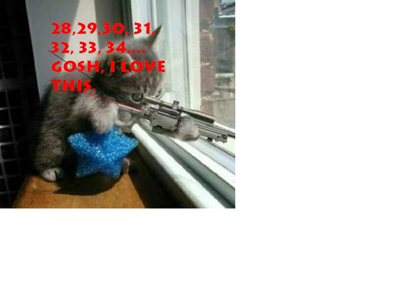 sniperkitty2.jpg