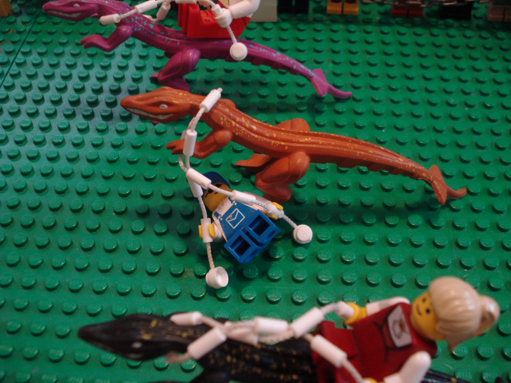 velociraptorrace_007.jpg