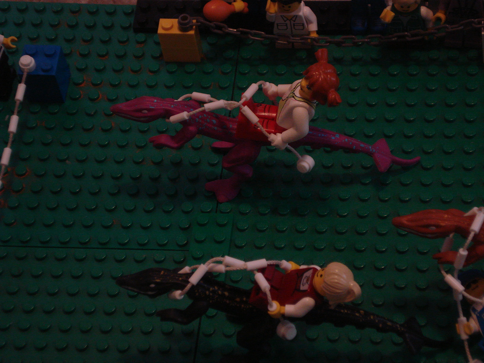 velociraptorrace_008.jpg