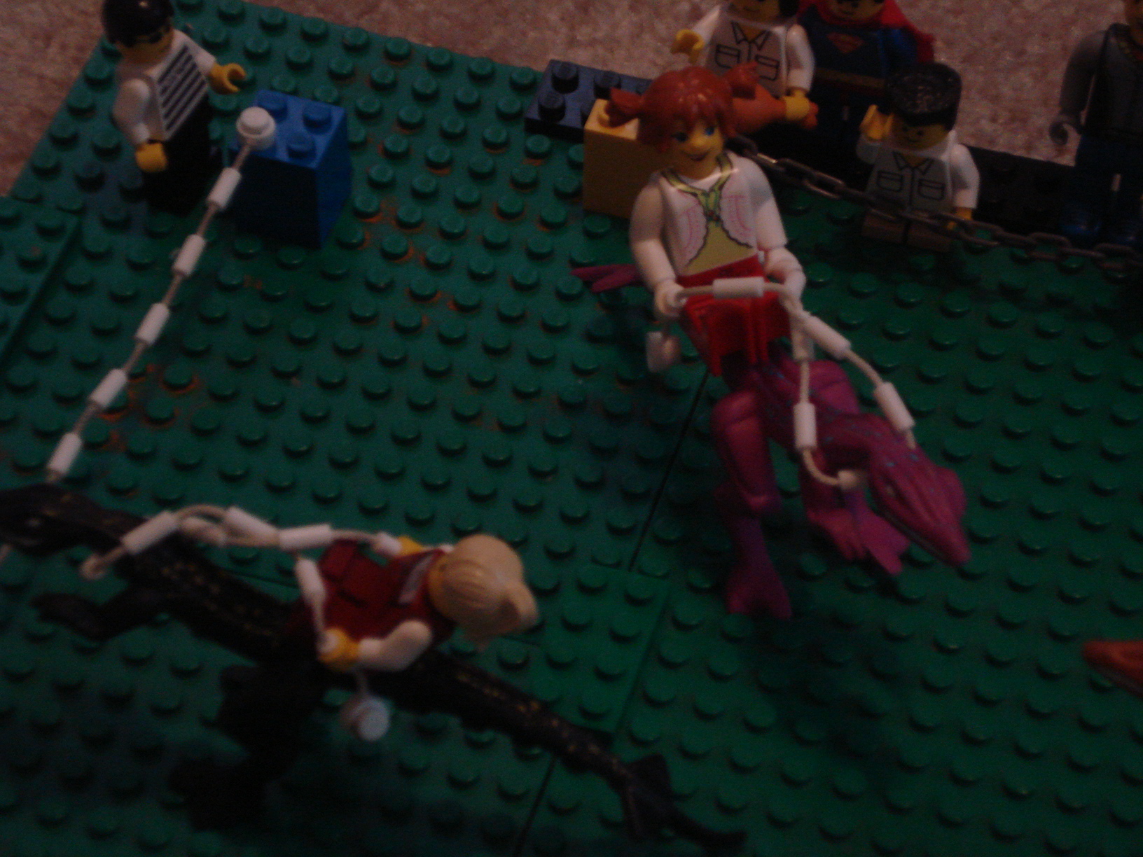velociraptorrace_009.jpg