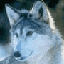 wolfav.gif