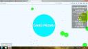 agar.io.jpg