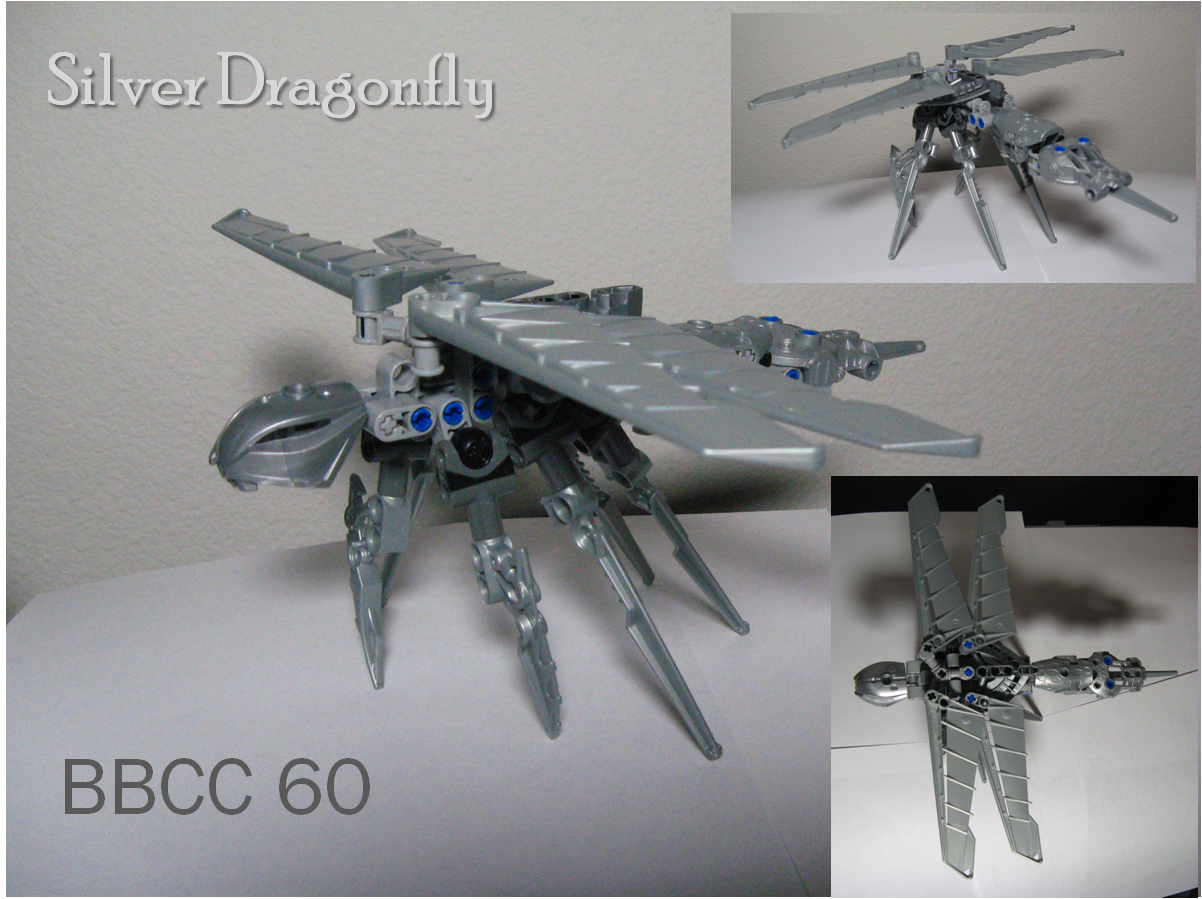 silver_dragonfly_entry_pic.png