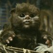 ewok_avatar.jpg