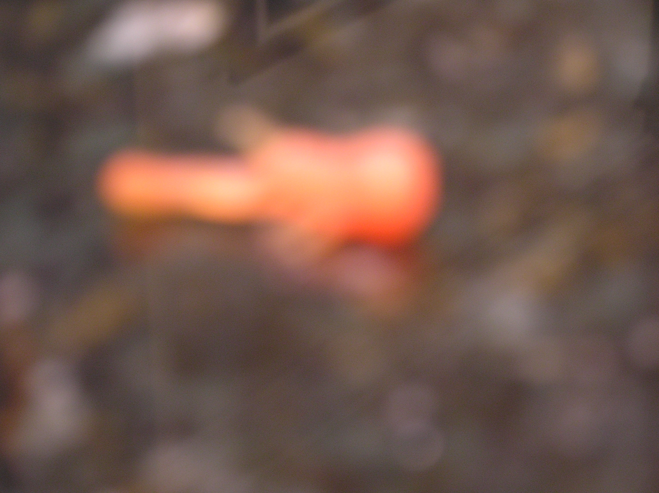 untitled_023.jpg