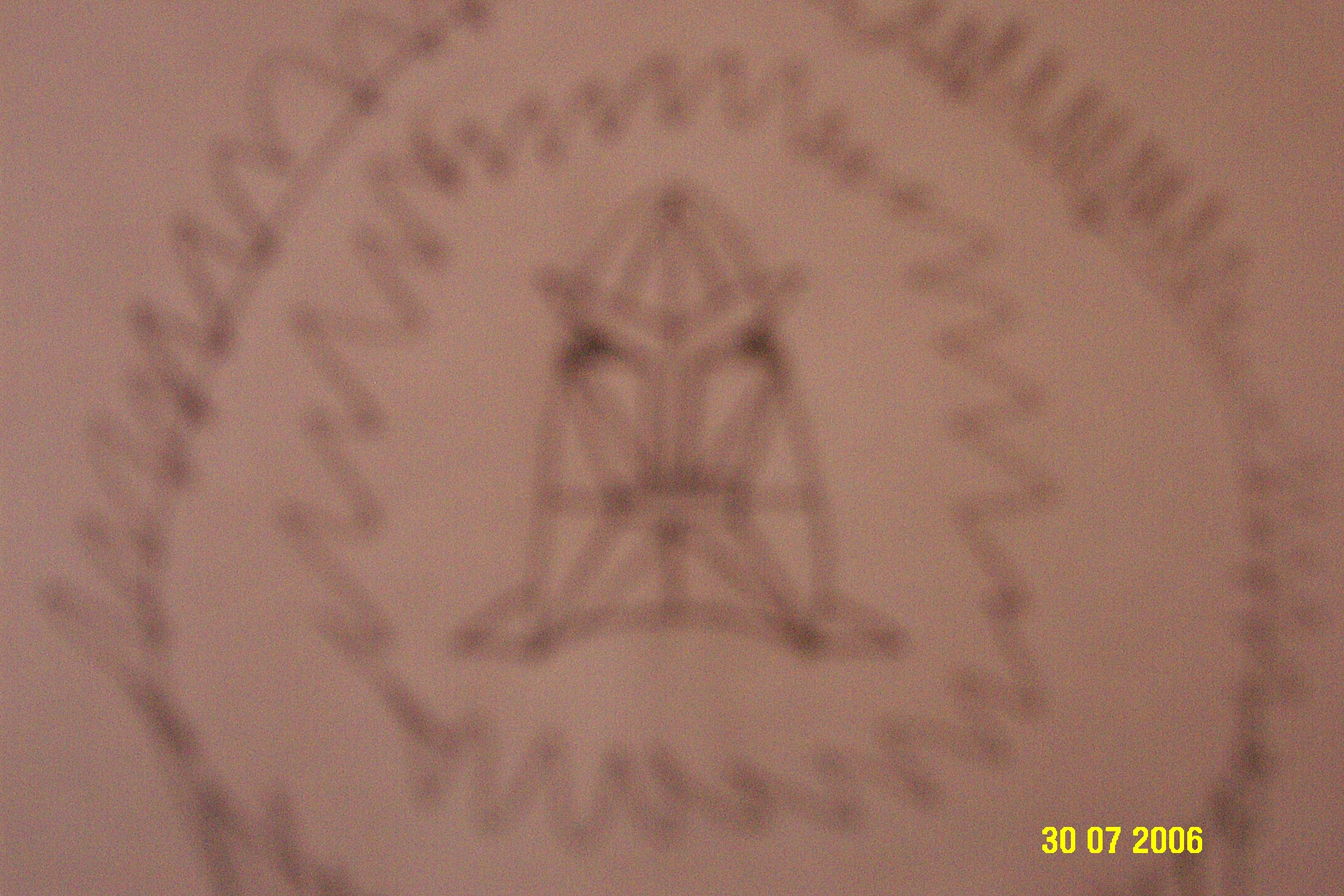 contest_entry_001.jpg