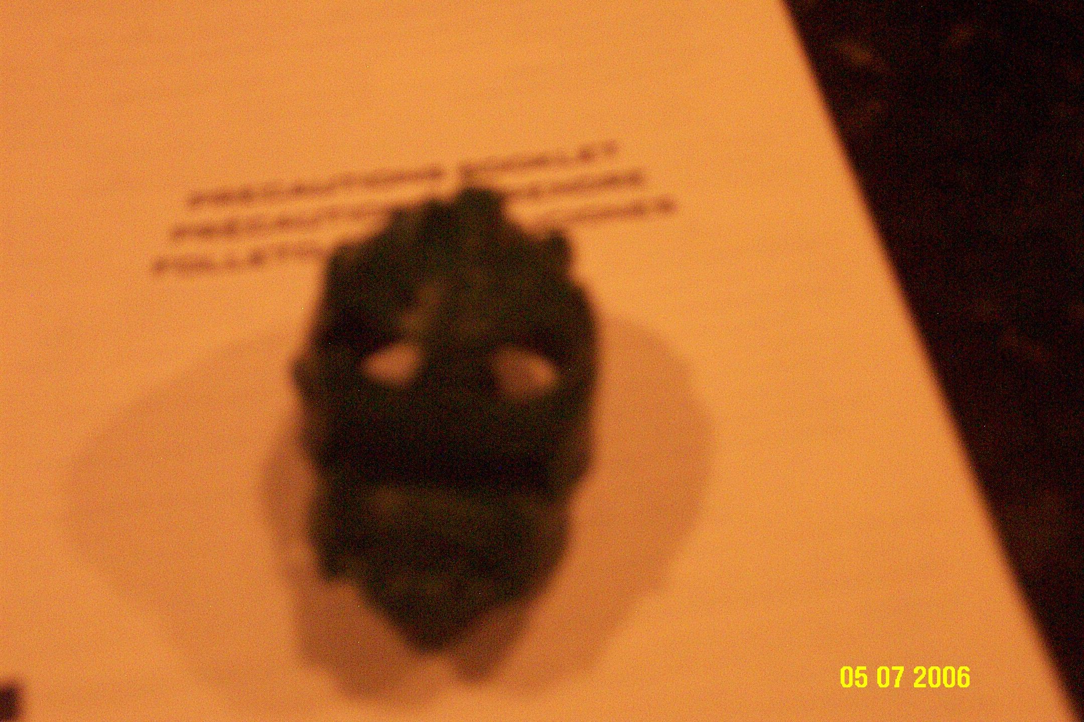 kongu_004.jpg