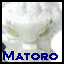 matoro_pic.png