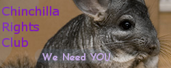 chinchillaright_sig1.png