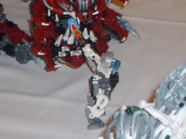 sd531262.jpg