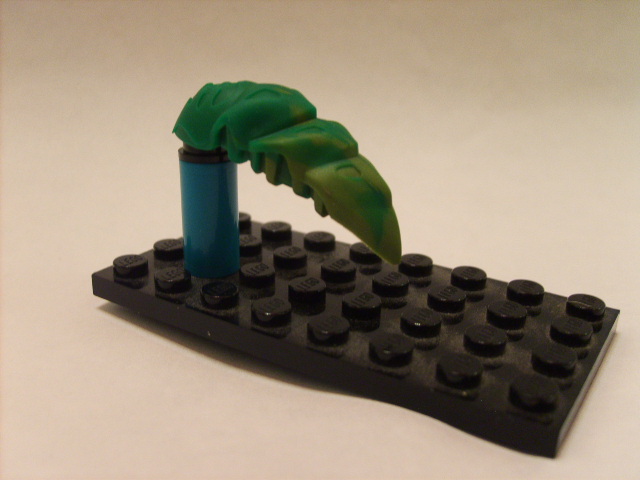 sd534264.jpg