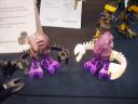 sd534618.jpg