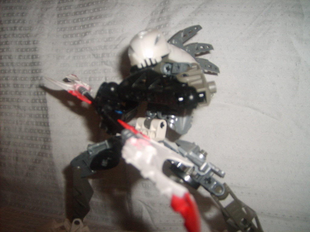 sd530224.jpg