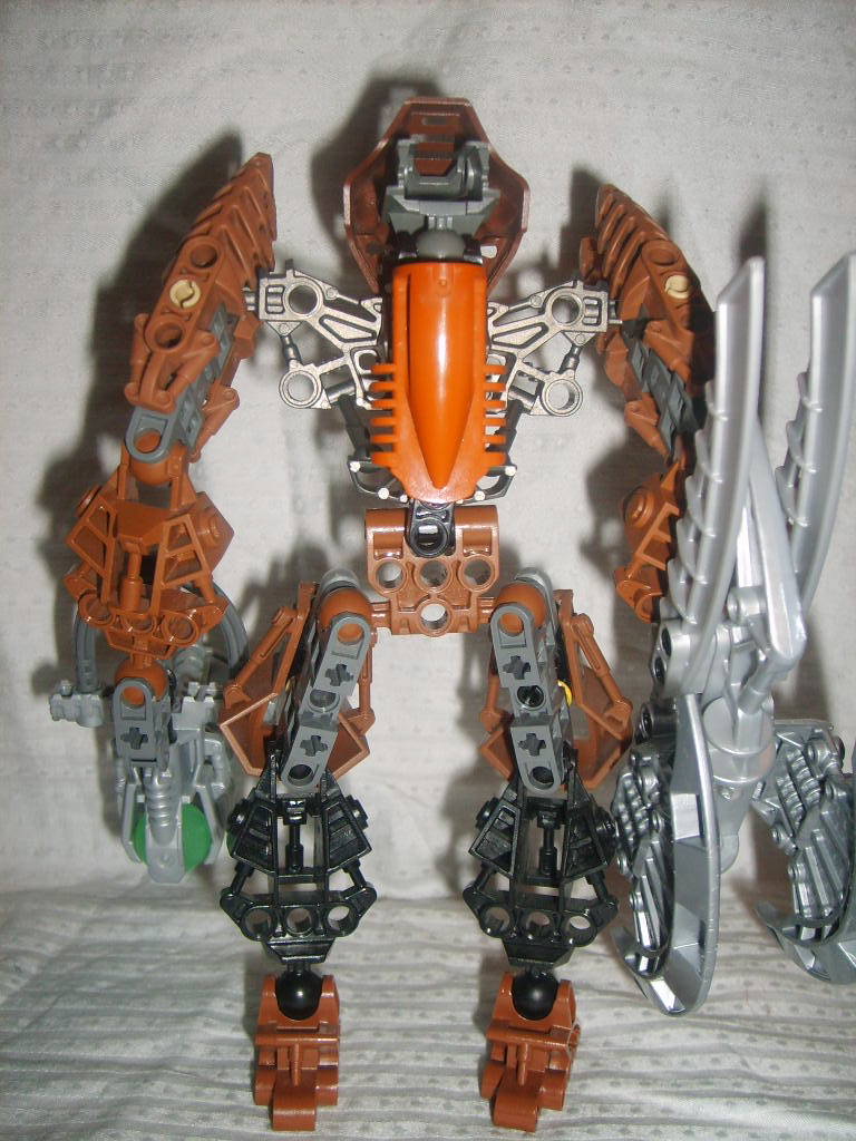 sd530264.jpg