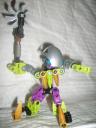 sd530249.jpg