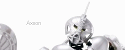 axxon.gif