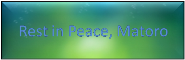 wisewhenuamatoro.png