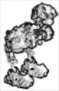 dikapi.gif