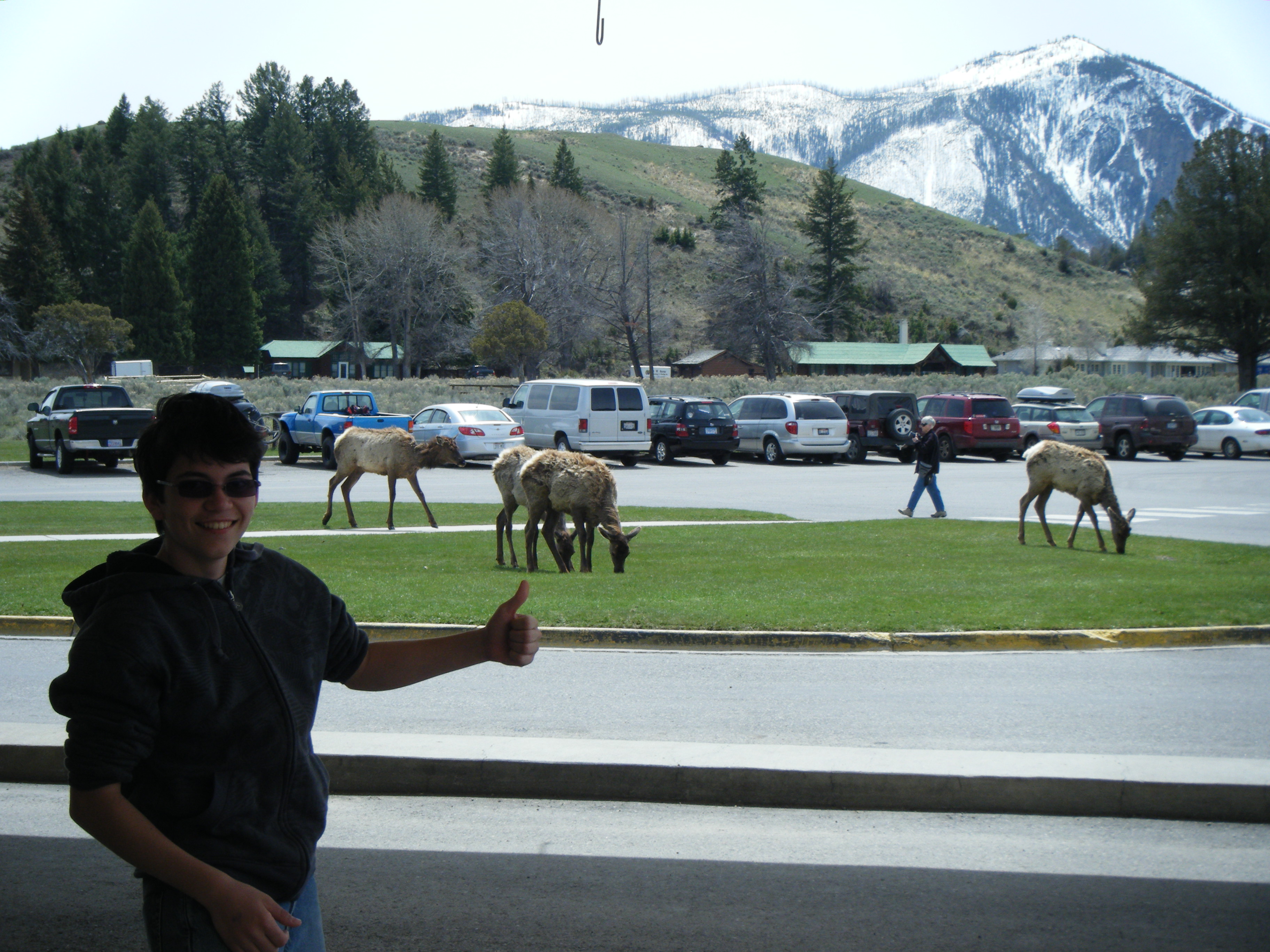 yellowstone_143.jpg