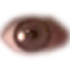 eye-avatar.jpg