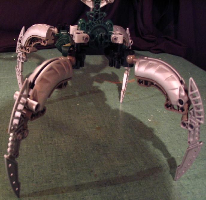 06-legs.jpg