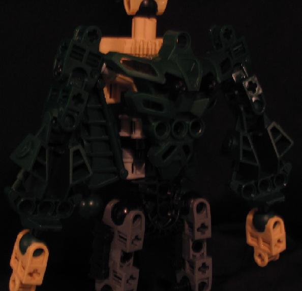 04-back.jpg