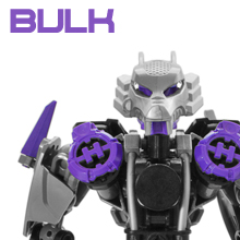 bulkblog.jpg