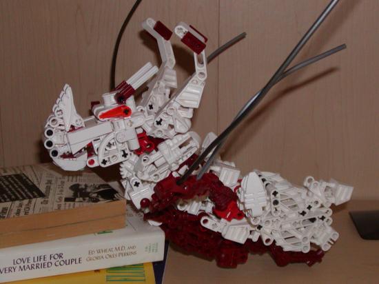 dragontsr01.jpg