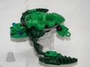turtle03.jpg