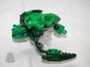 turtle04.jpg