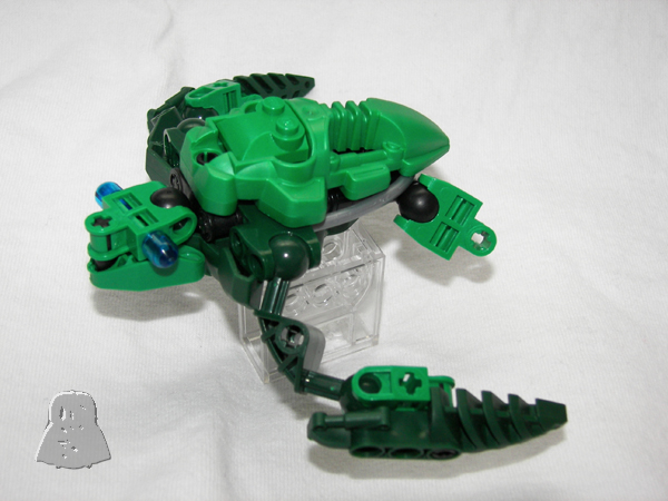 turtle04.jpg