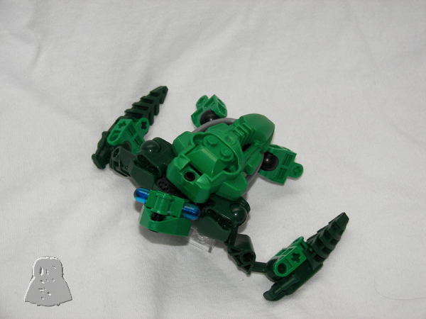 turtle06.jpg