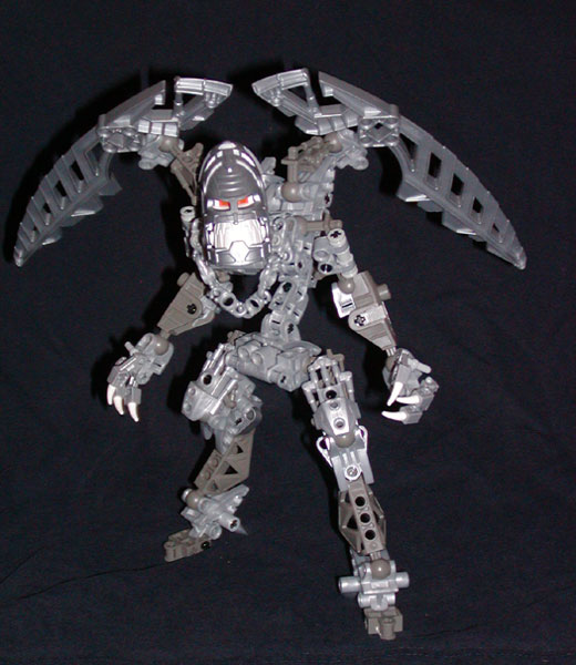 vezon02.jpg