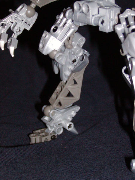 vezon03.jpg