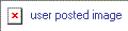 userpostedimage.gif