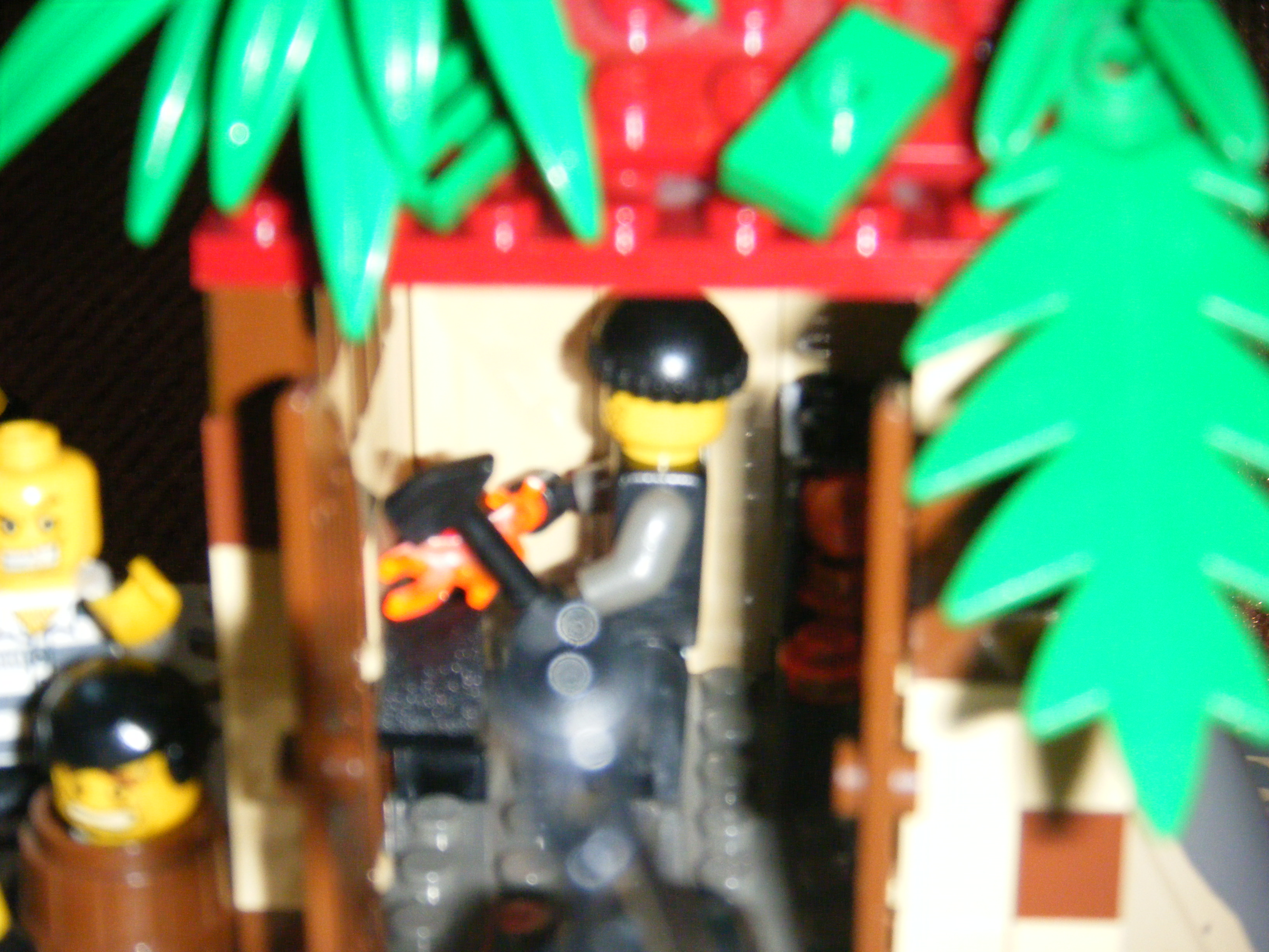 dscf6555.jpg