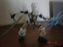 dsc02010.jpg