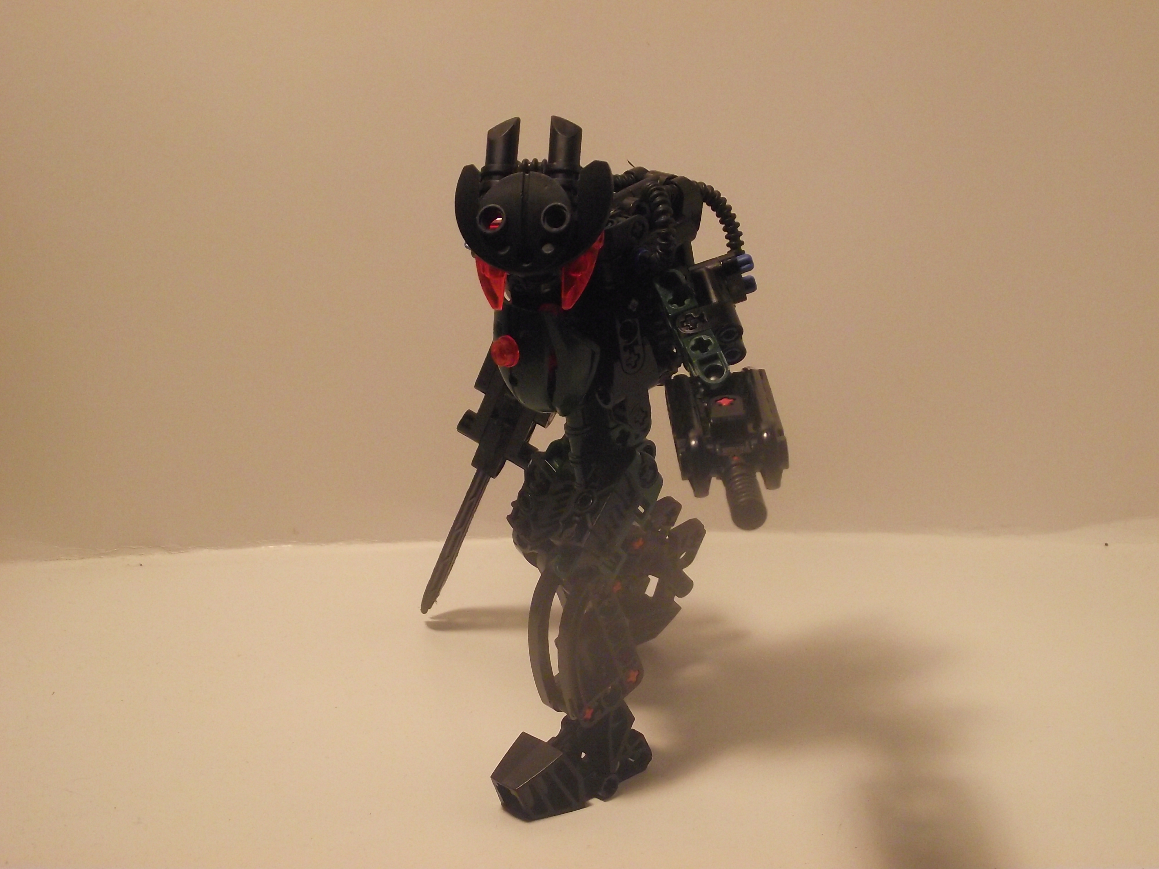 dscf0339.jpg